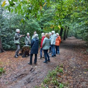 Ommetje Doorn - Elke dinsdag